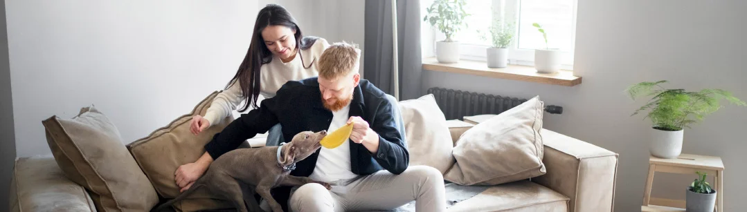 Indoor Air Quality Cooltechies.com