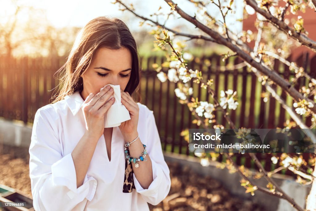 Fall Allergies 5 Ways Your AC Can Create a Healthier Home