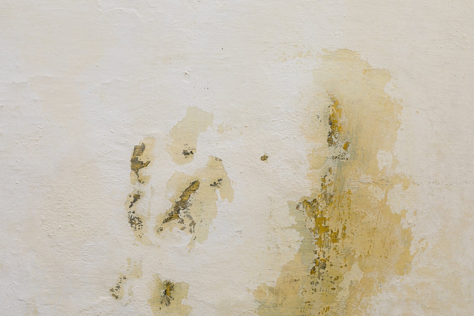 Poor Attic Ventilation Lead to Mold and Litigation