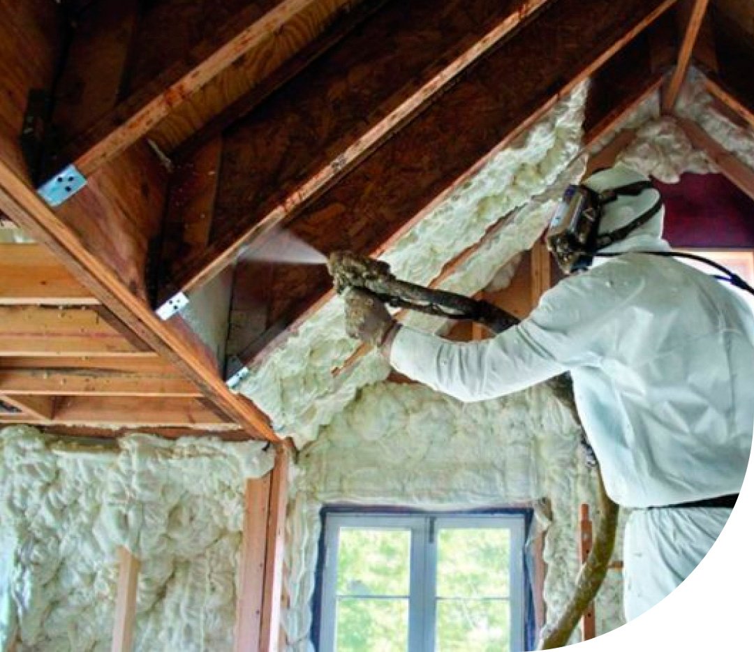 Insulation Assessment 1 Insulation Assessment - Punbarair