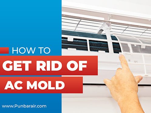 How To Get Rid Of AC Mold